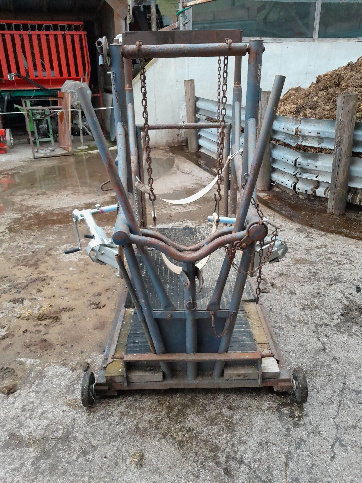 Klauenpflegestand 2