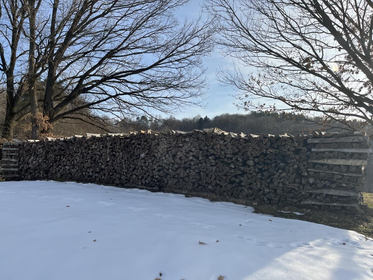 Buchenholz Brennholz 2