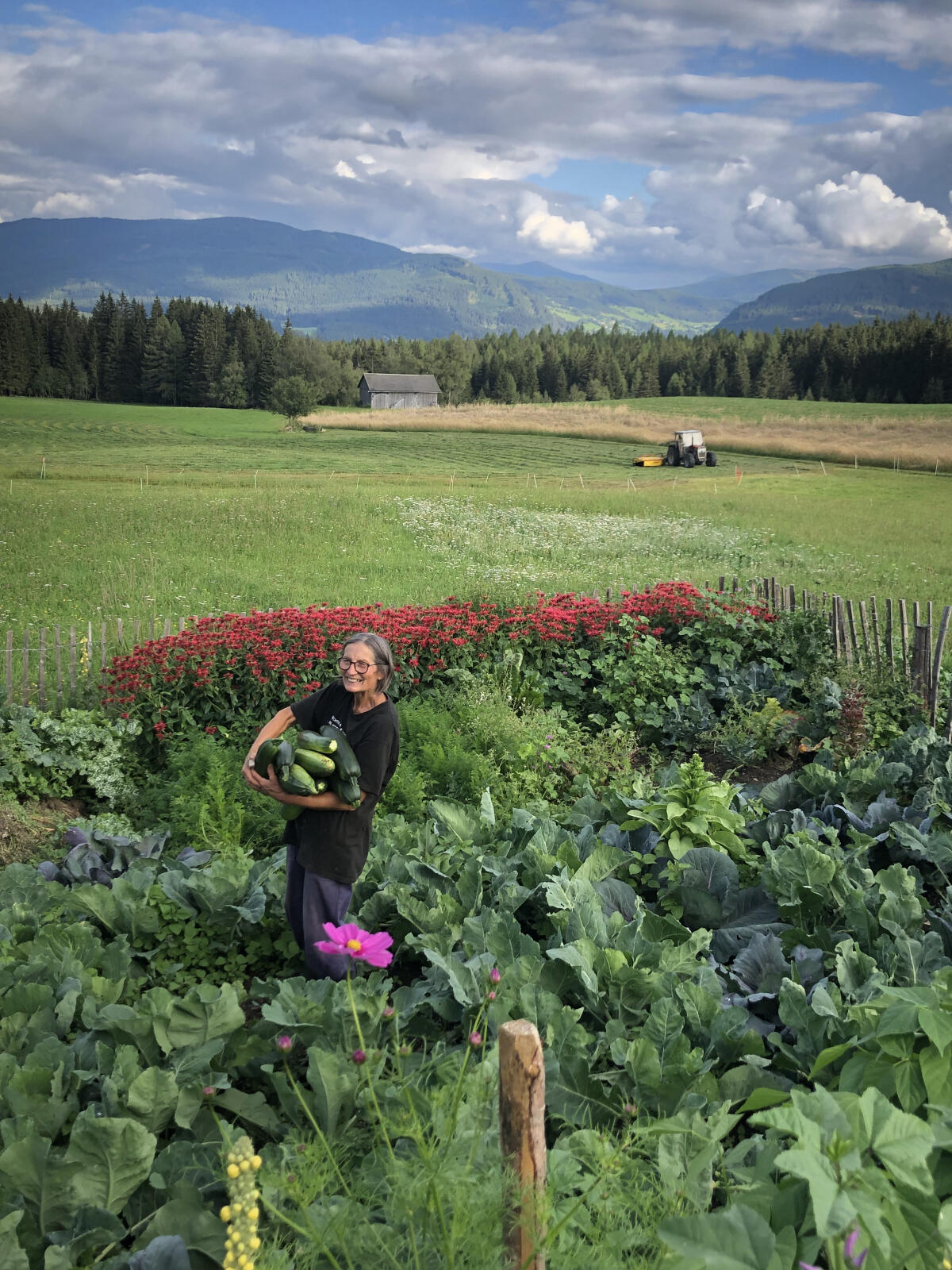 Praktikumsplatz 2026 auf Kuh- und Ziegenhof mit Käserei 3