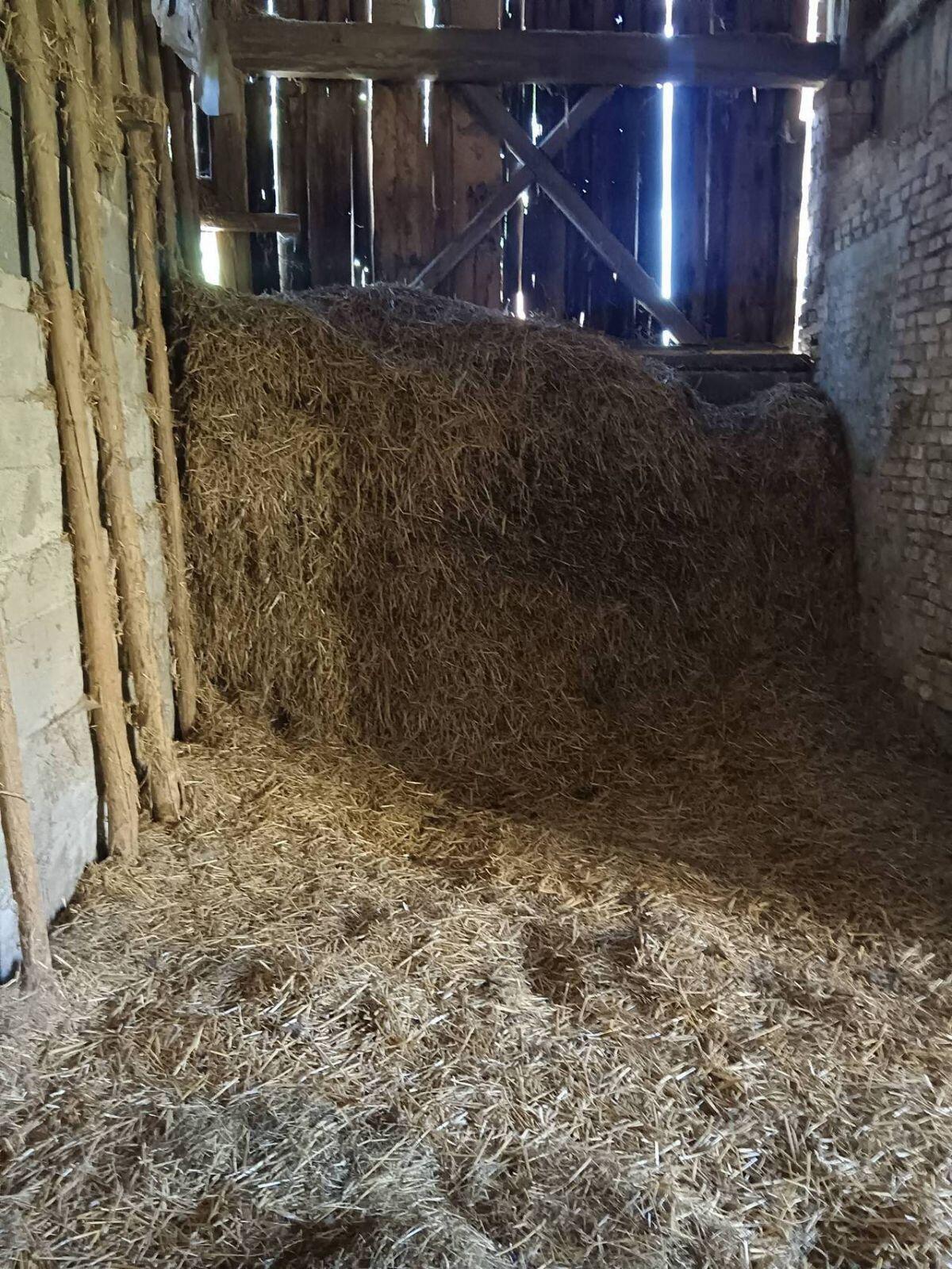 Stroh lose zu verschenken 2