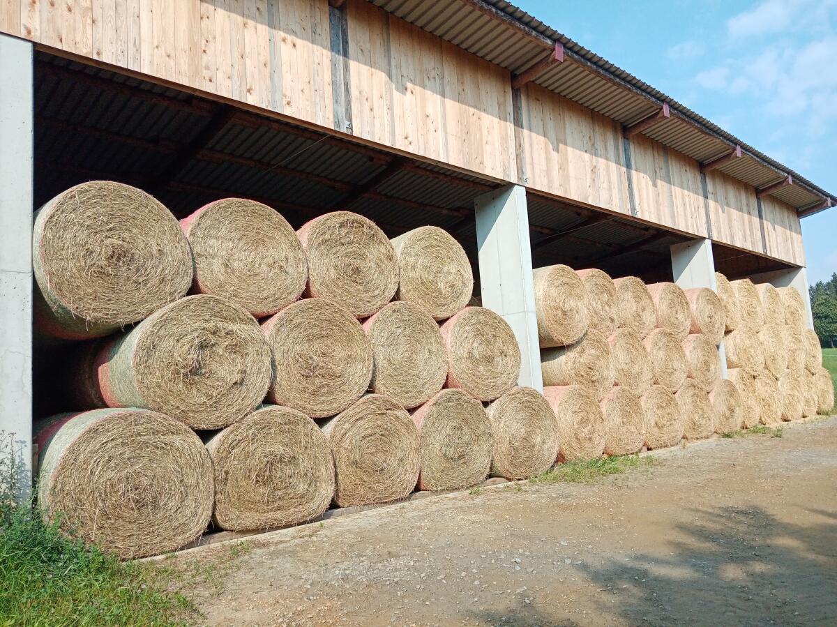 Bio-Heuballen, 22 Cent/kg 2