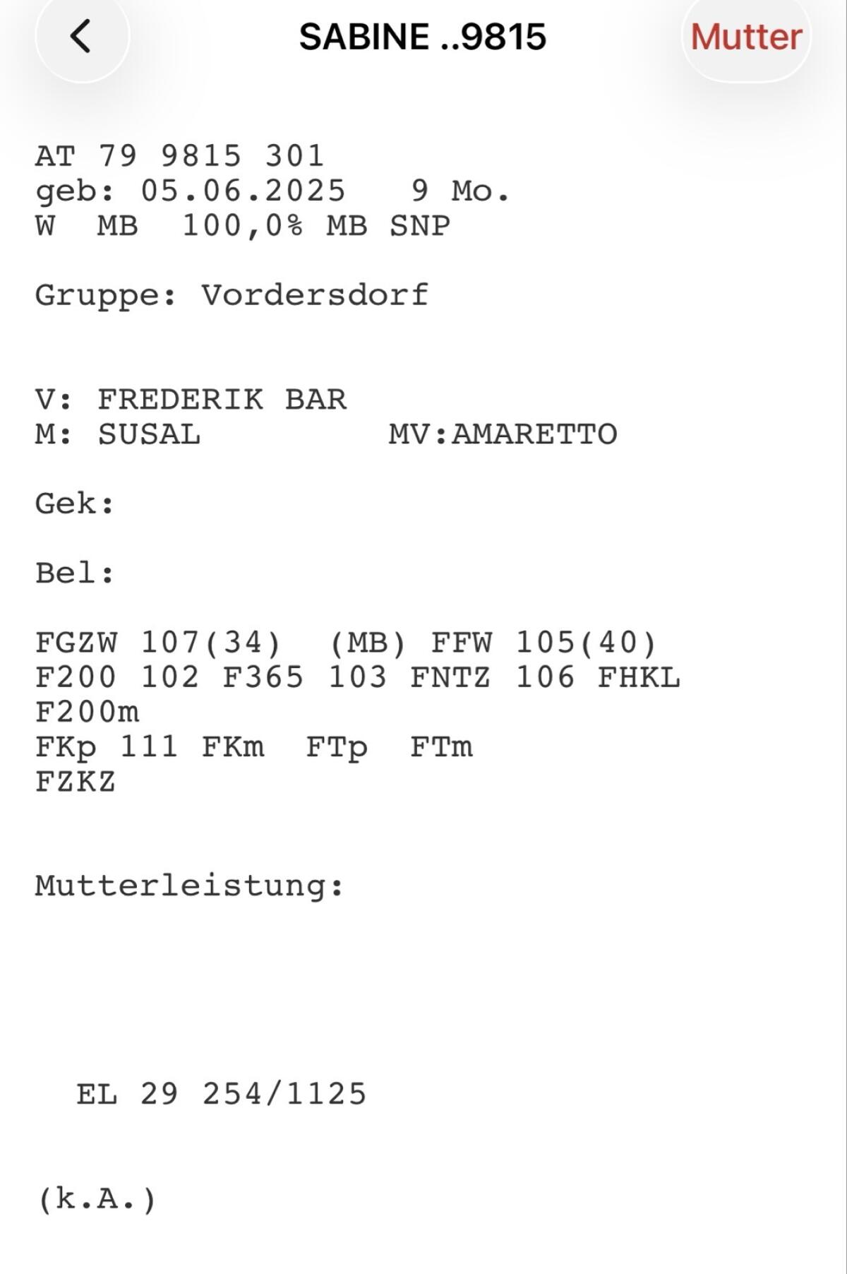 Murbodner Kalbinnen 3