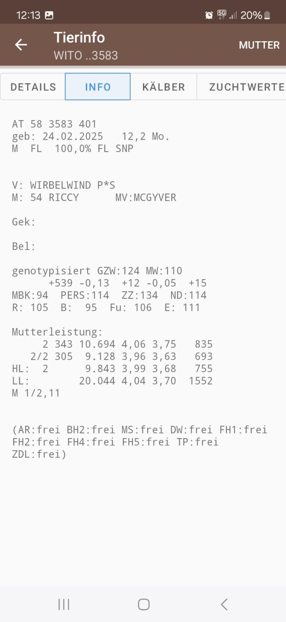 Fleckvieh Zuchtstiere 2