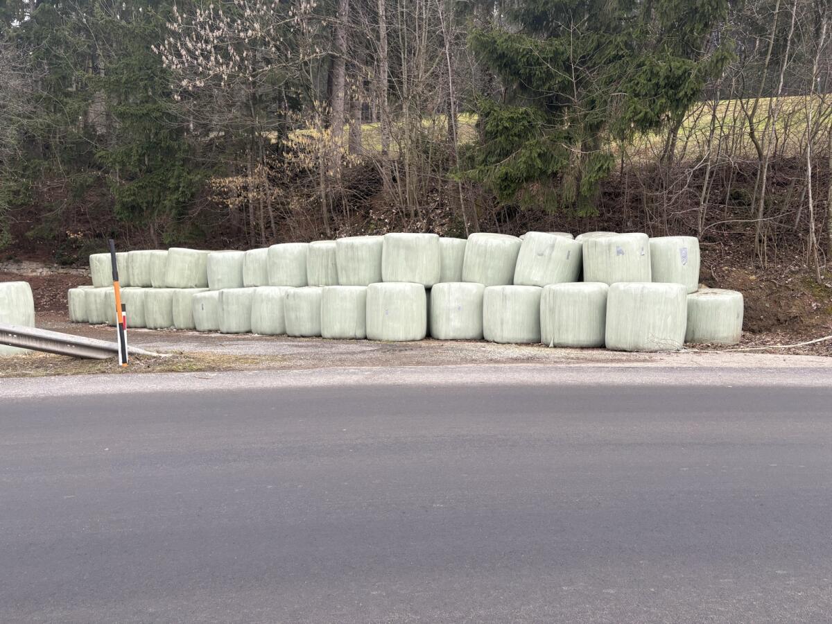 Siloballen Schnitt 2024-2025 3