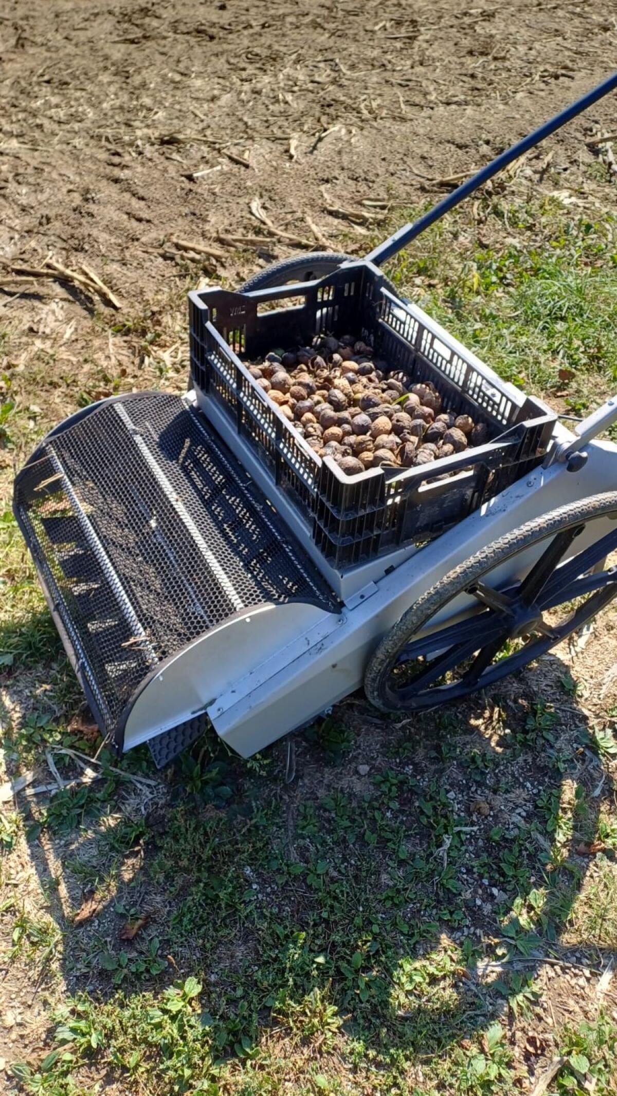 Vermiete Obstraupe 5+ 3