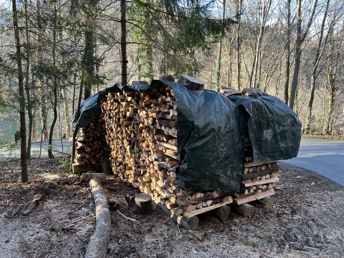 Brennholz, hart 2