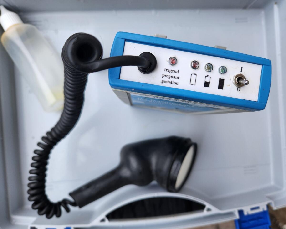 Trächtigkeitsprüfgerät 2