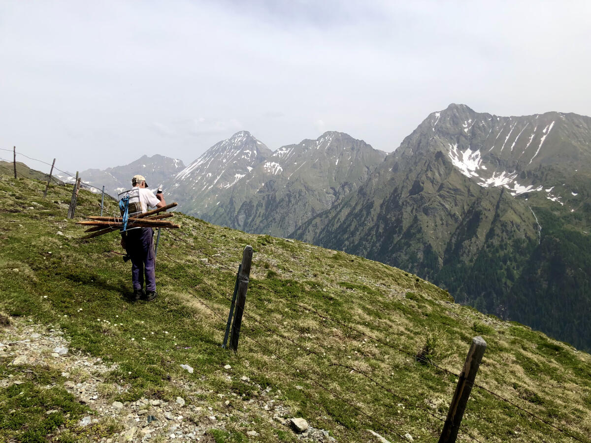 Praktikumsplatz 2026 auf Kuh- und Ziegenhof mit Käserei 2