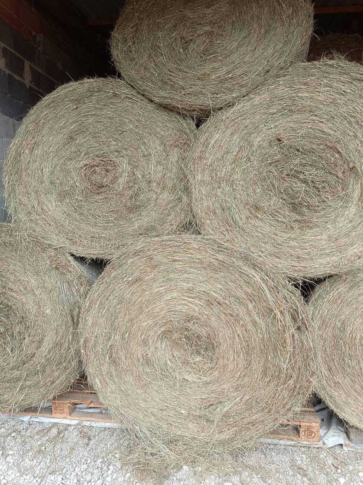 Bio Stroh und Heu in Rundballen und Quaderballen 3
