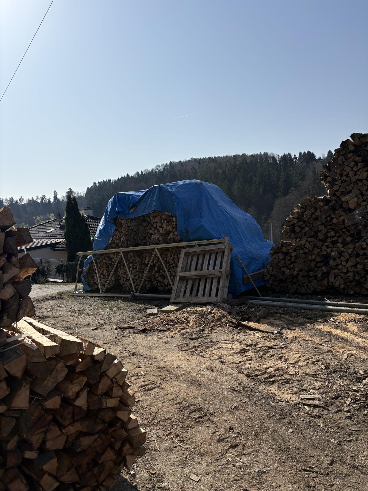 Holzbündel zu verkaufen 2
