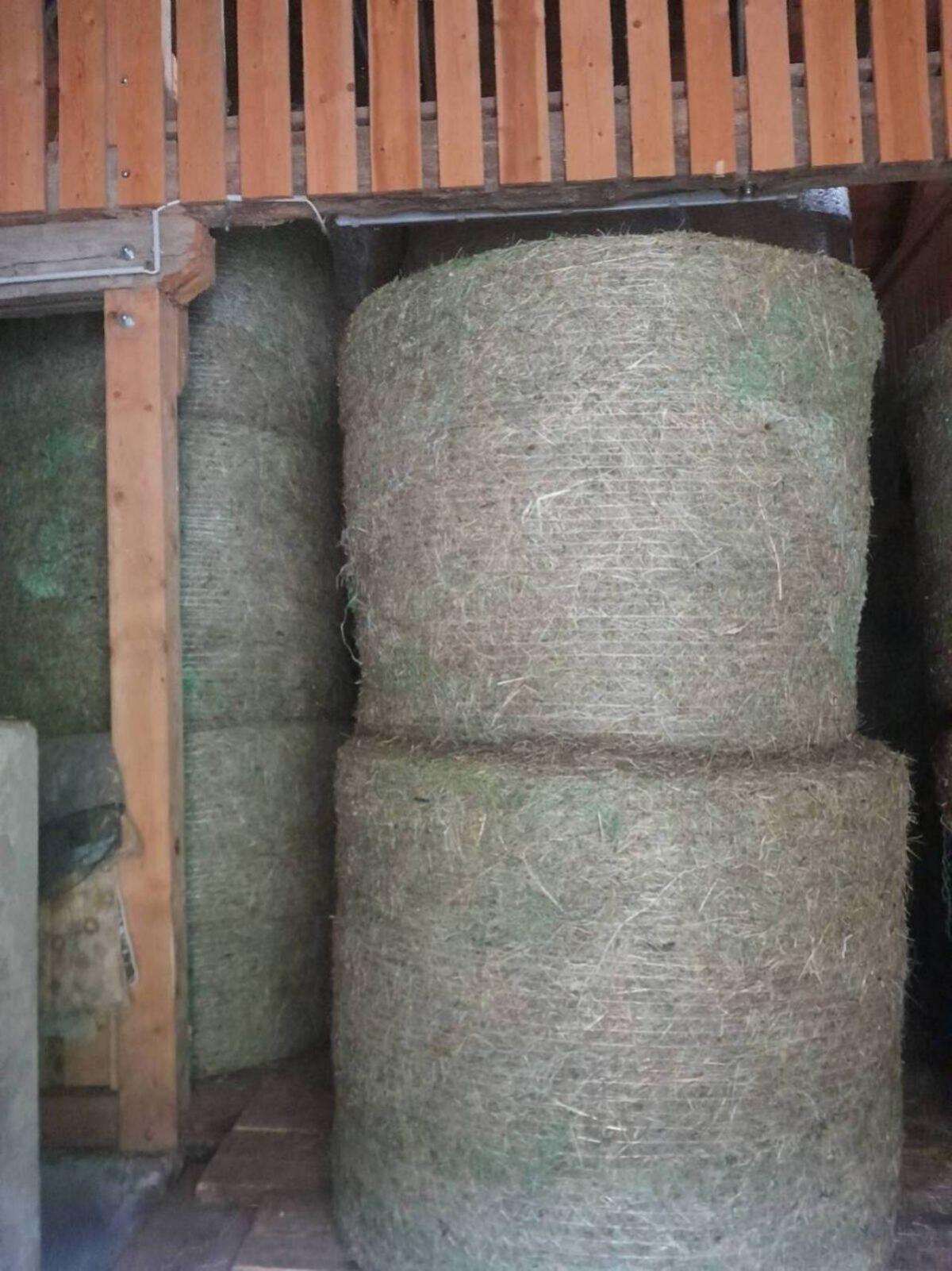 Heu und Grummet, Ballen 2