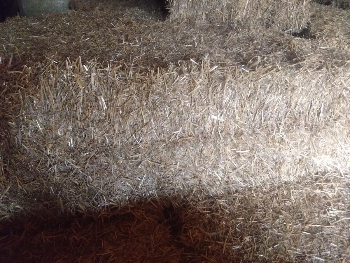 Stroh Quaderballen 3