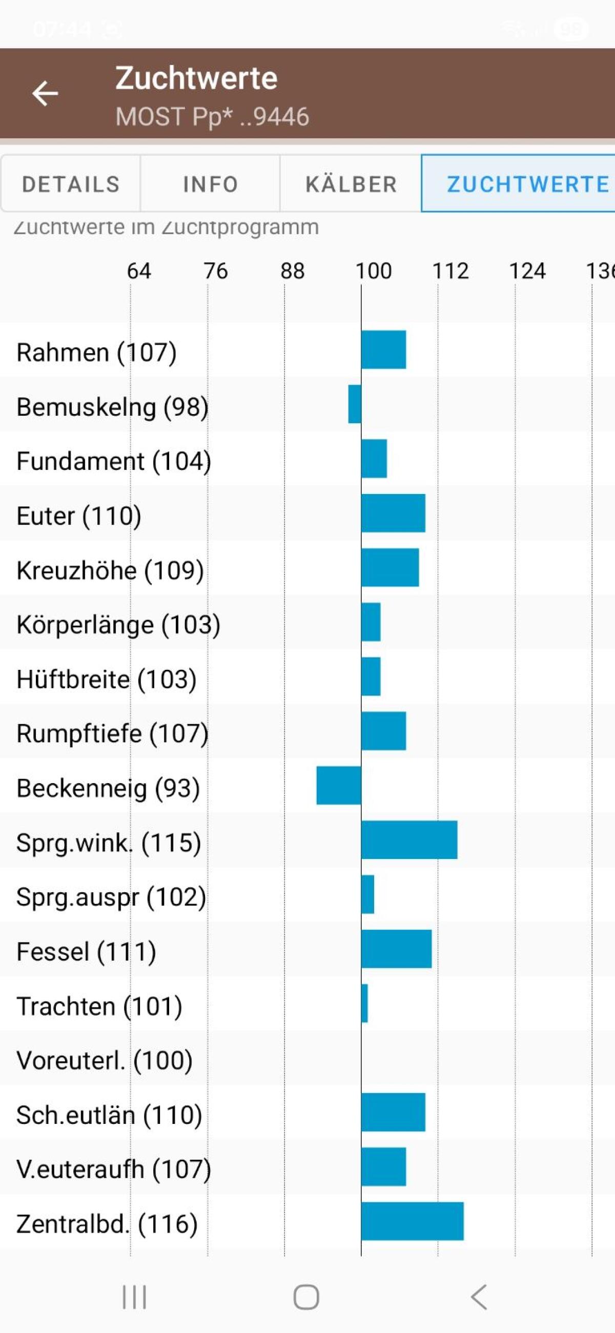 Zuchtstier Fleckvieh 3