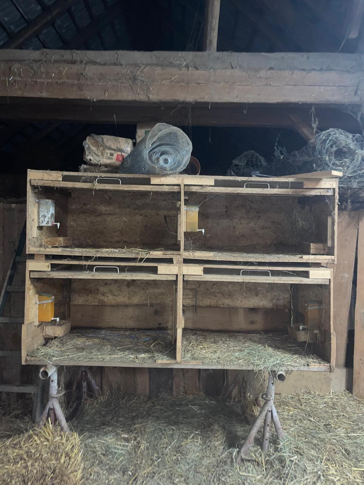 Hasenstall, Kleintierstall 2