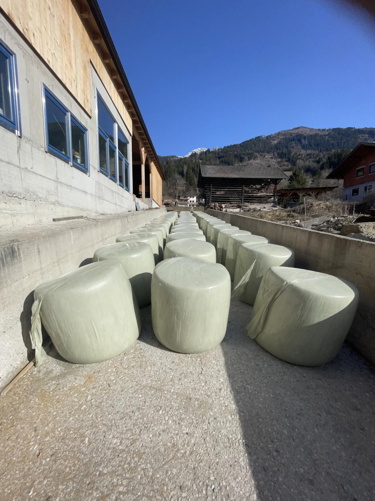 Lischkolben Silageballen 2