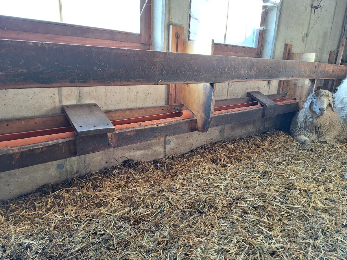 Tränke mit Hochdruck-Schwimmerventil für Schafe/Ziegen 3