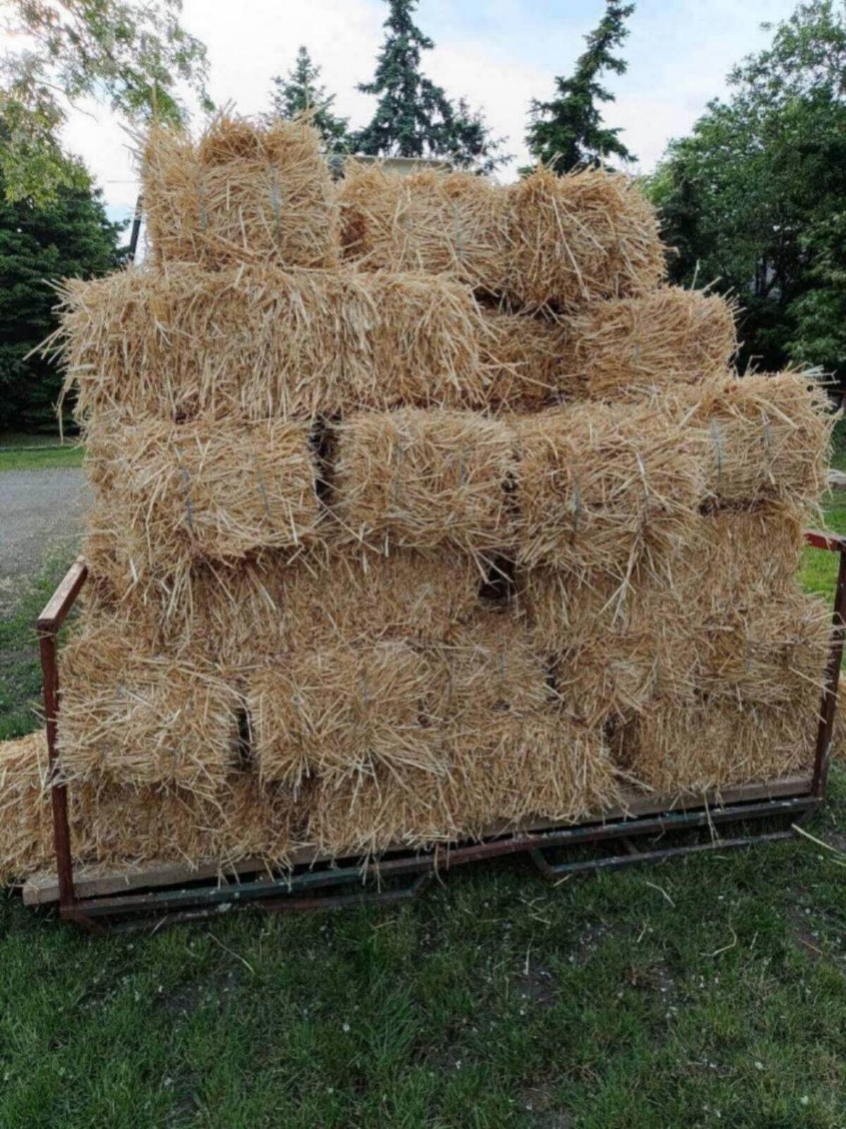 Bio Stroh und Heu in Rundballen und Quaderballen 2