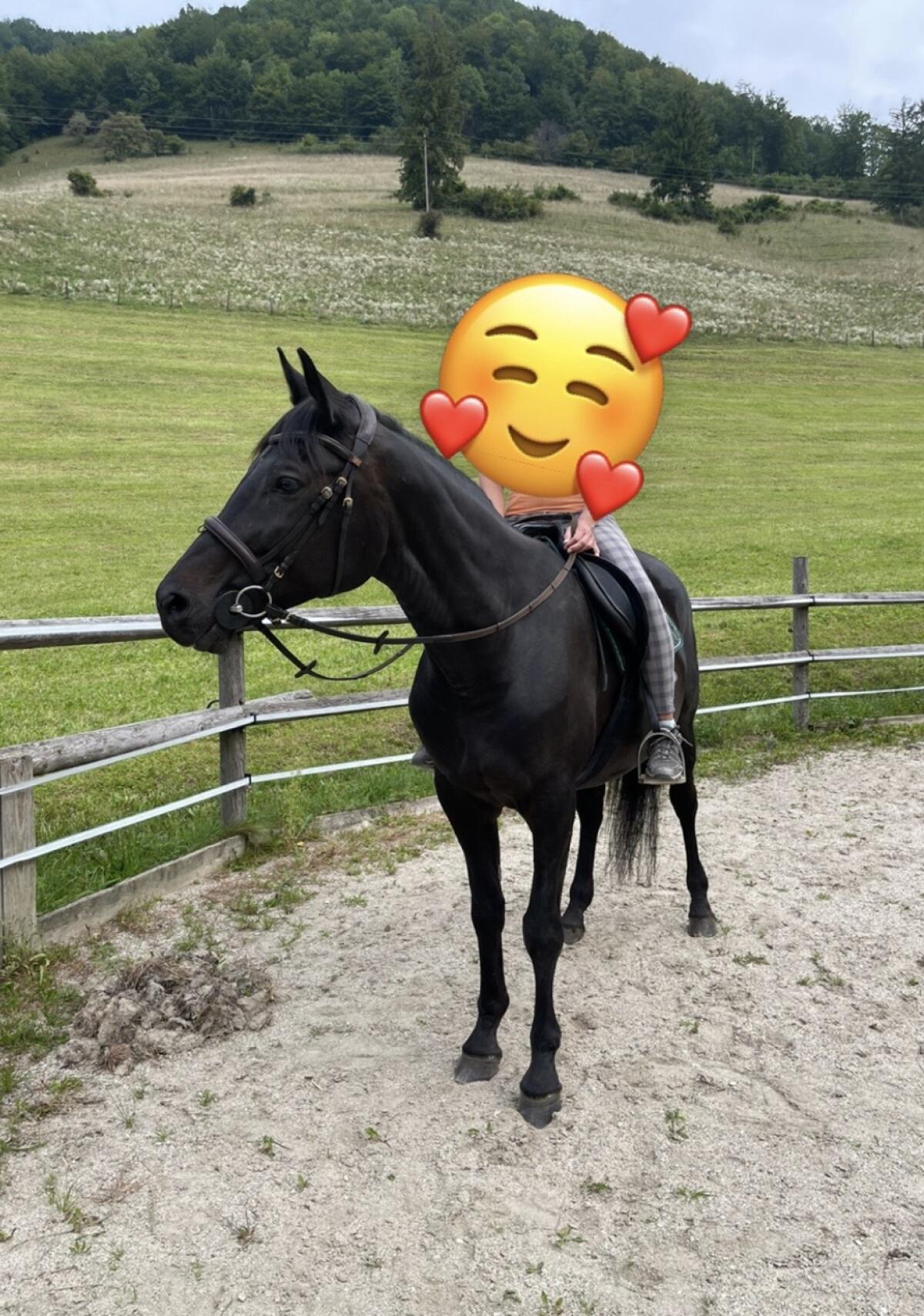 Bedingt reitbare Beisteller 2