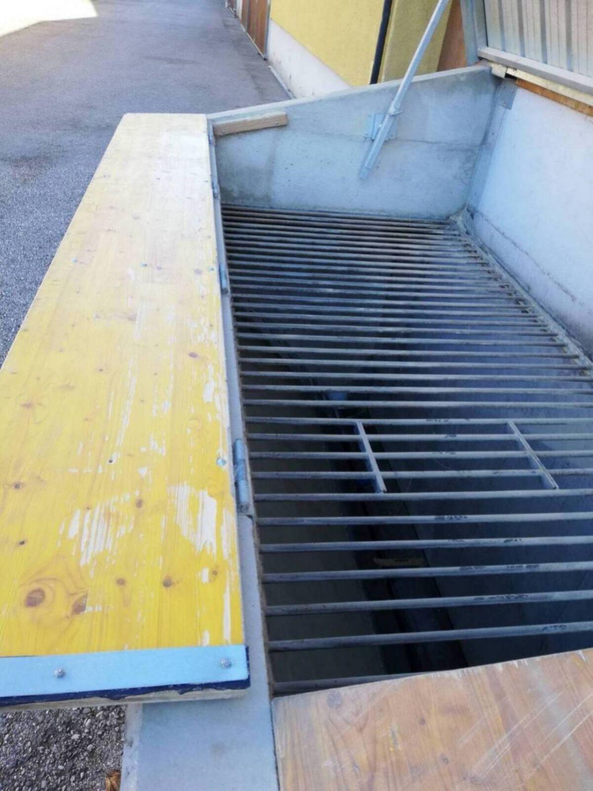 Elevator - Trogschnecke 2