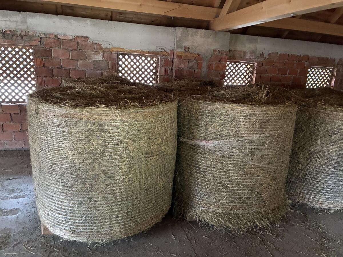 BIO Heu 1. Schnitt 2025 2