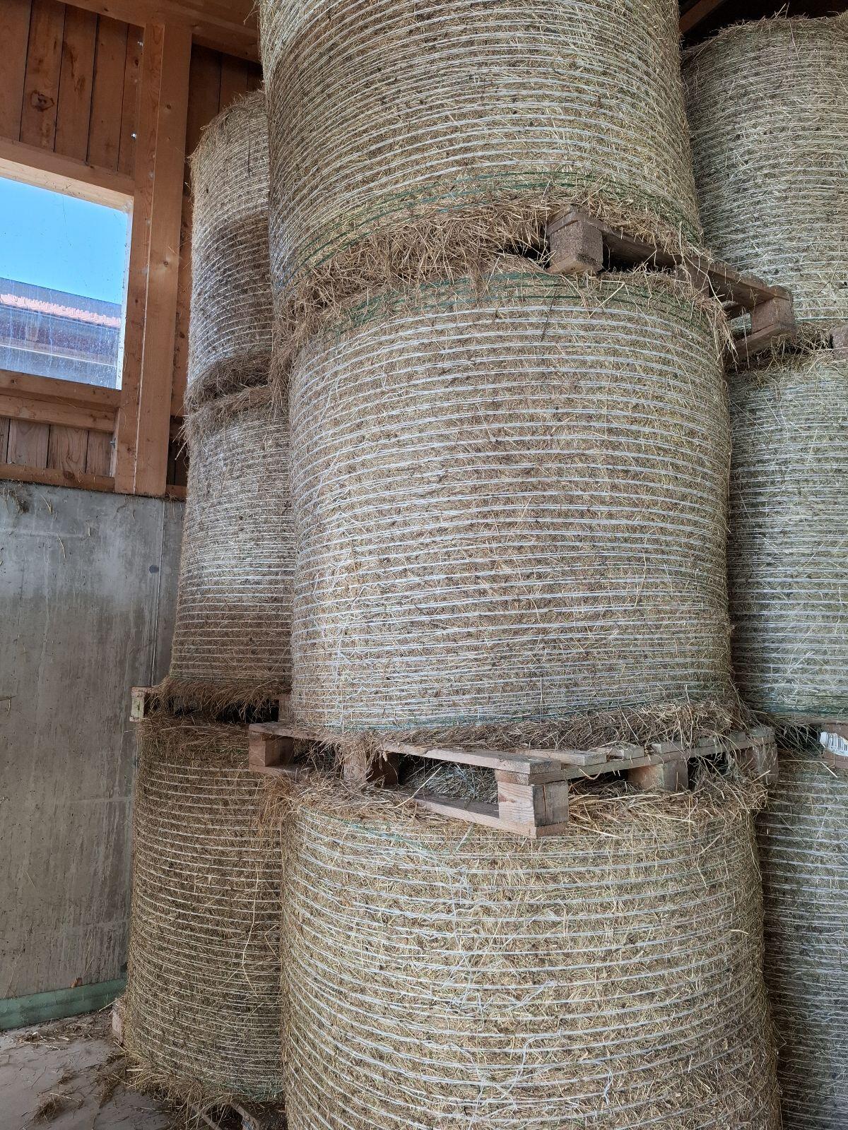 Heuballen 1. Schnitt 2