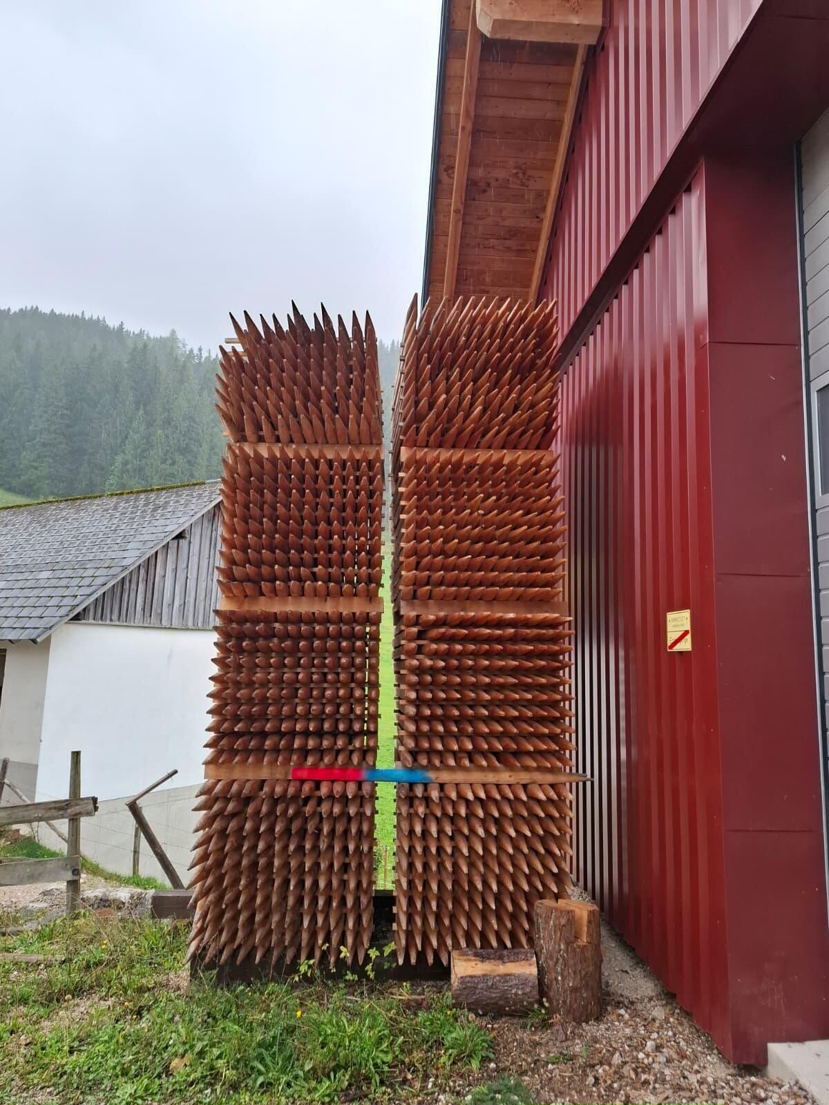 Lärchen Stipfel, Hagsteher, Weidepfähle 3