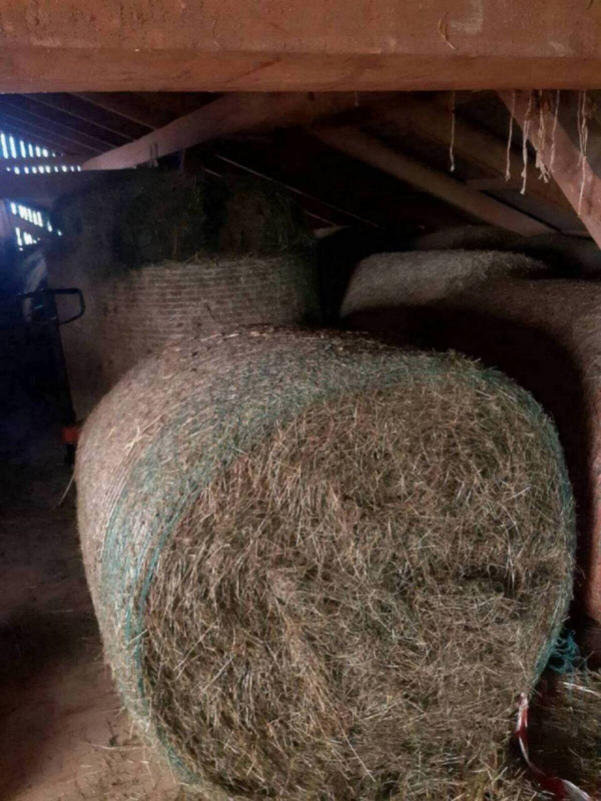 Heuballen, Grummetballen 2