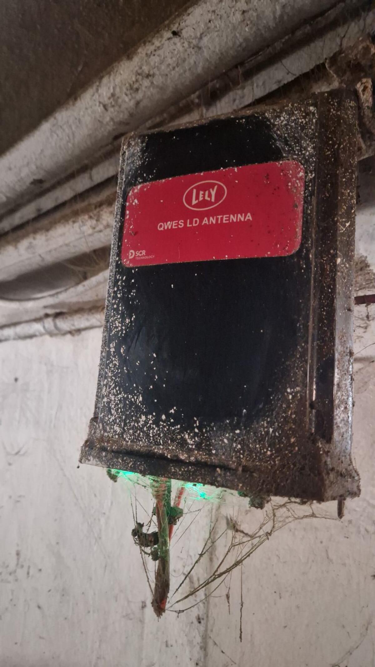 Lely Brunsterkennung 3