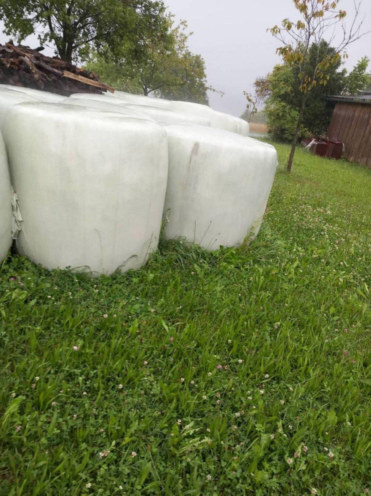 BIO-Silageballen 5 Stk. 2