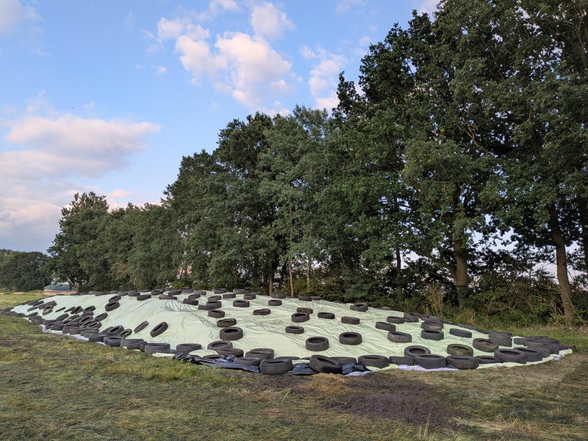 Grassilage-Silo MV 19372 Raduhn 2