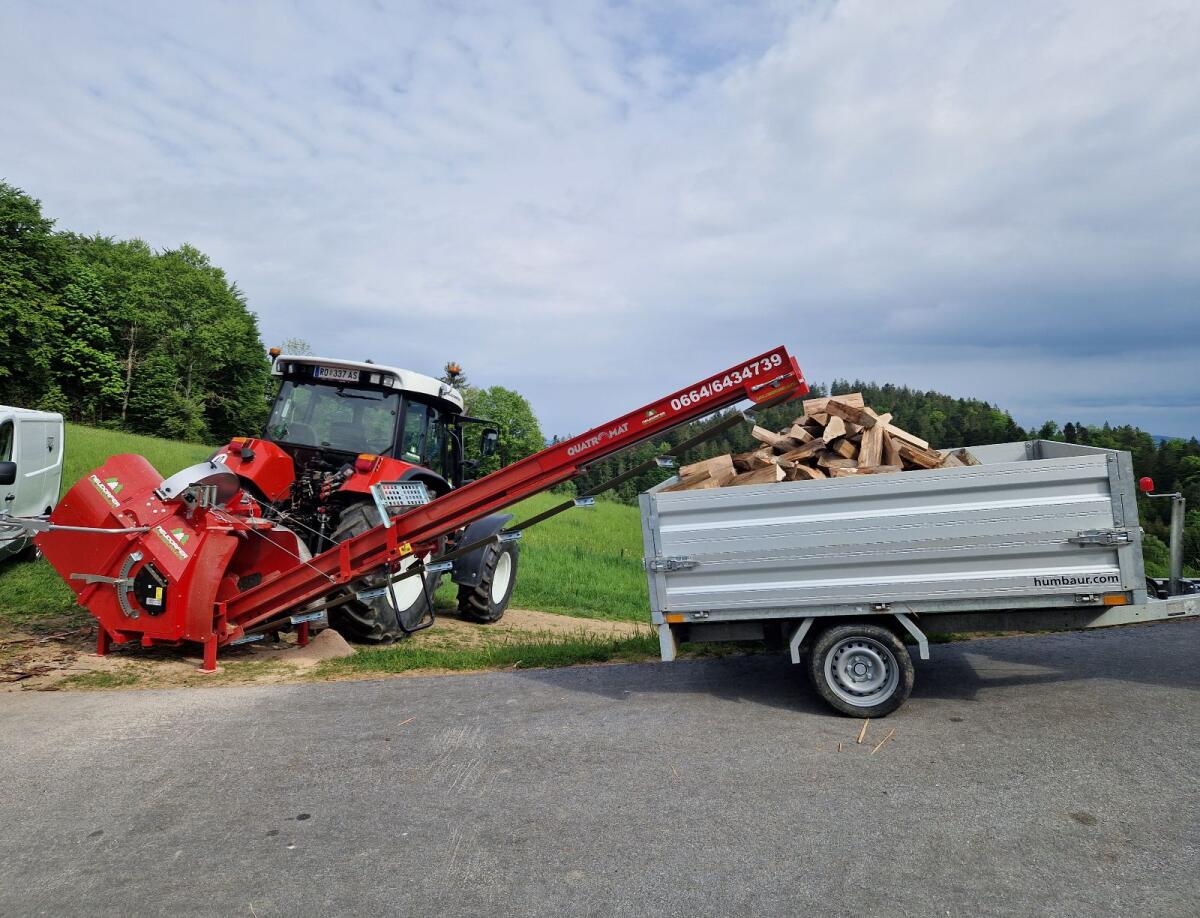 Brennholz schneiden 3