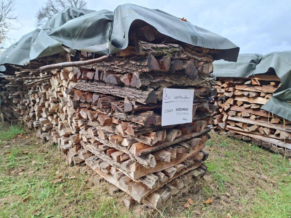 Brennholz, 20 m, Kiefer Eiche 2