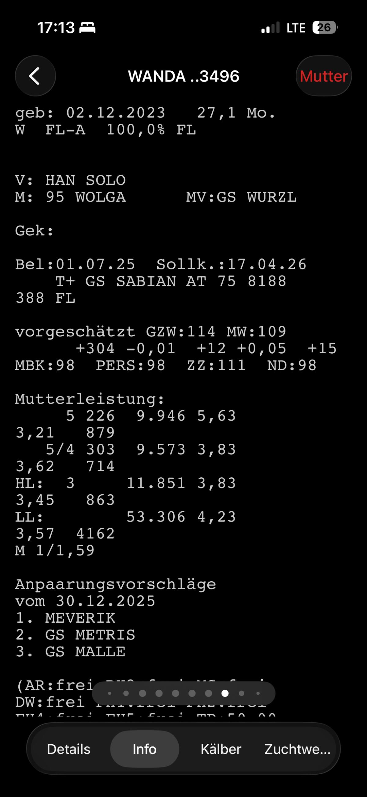 Schwerträchtige Kalbin 2