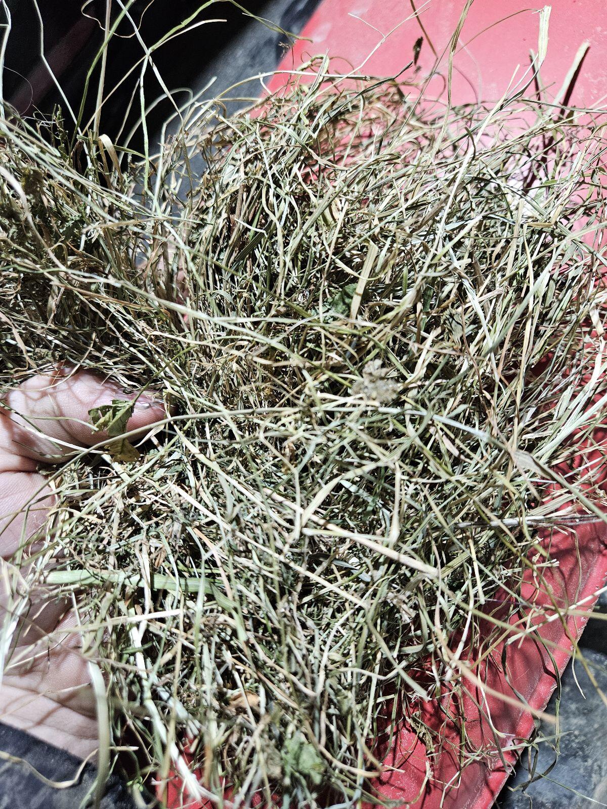 Grummet - 2. Schnitt 2