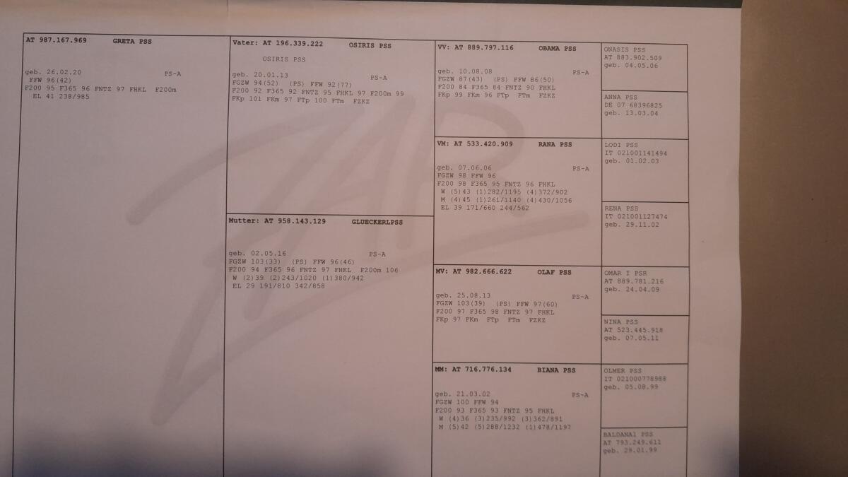 Pustertaler Sprinzen 3