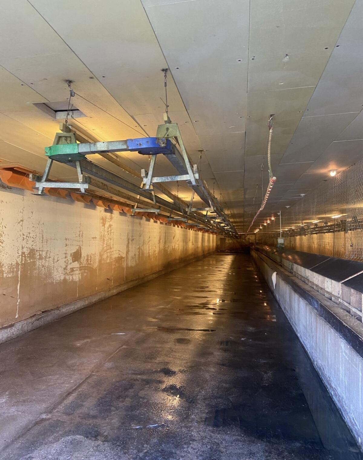 Land- und Forstarbeiten 3