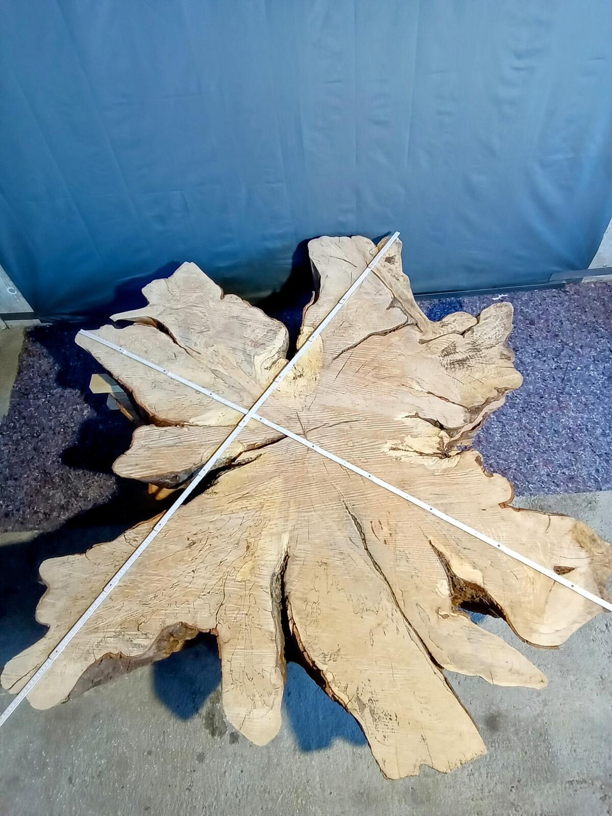 Jumbo Buchenscheiben Tische 3