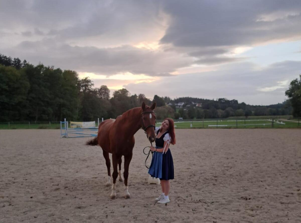 Reitbeteiligungen gesucht 2