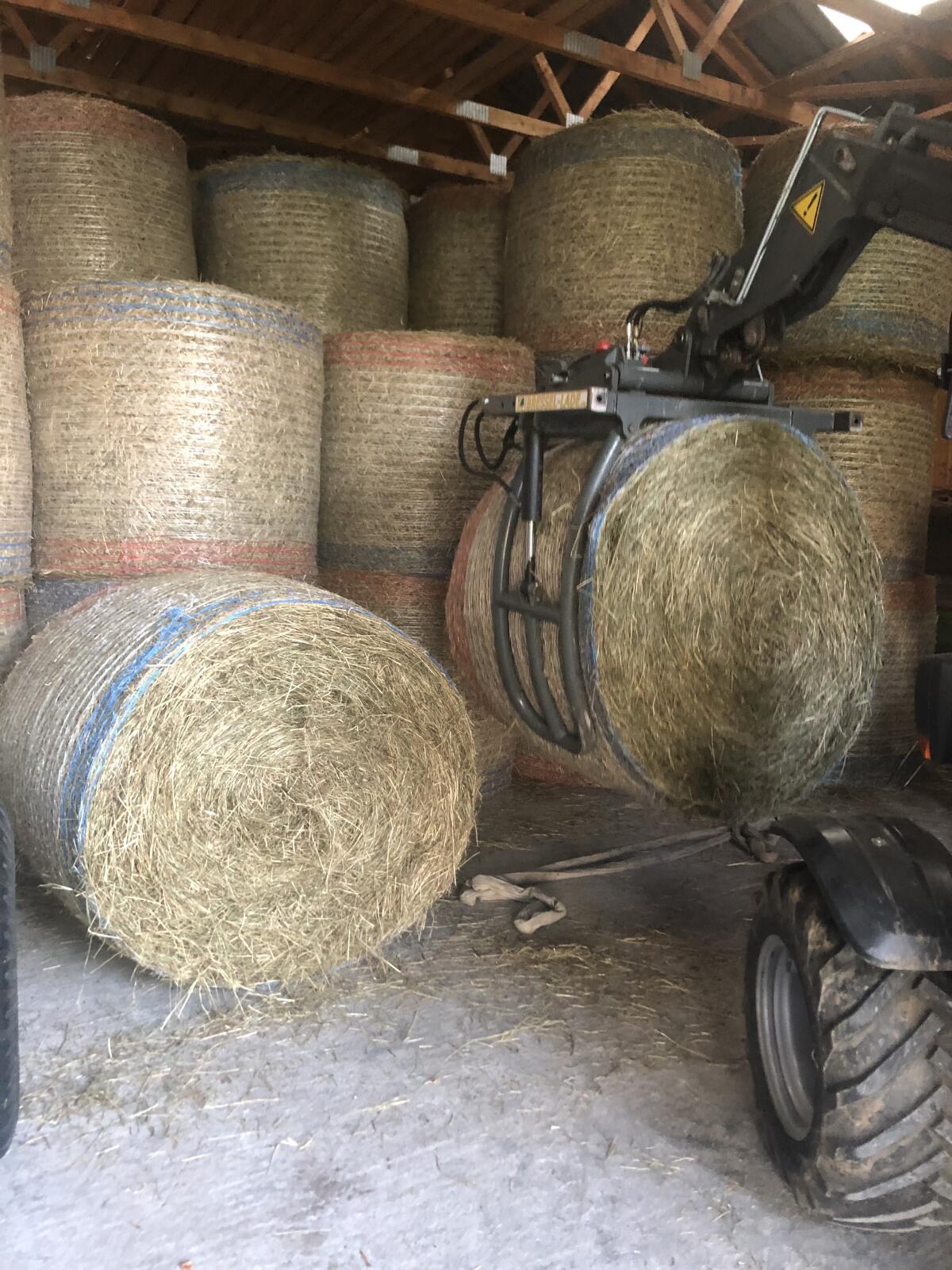 Heuballen Sommer 2025, 130cm, 20 Stk. 2