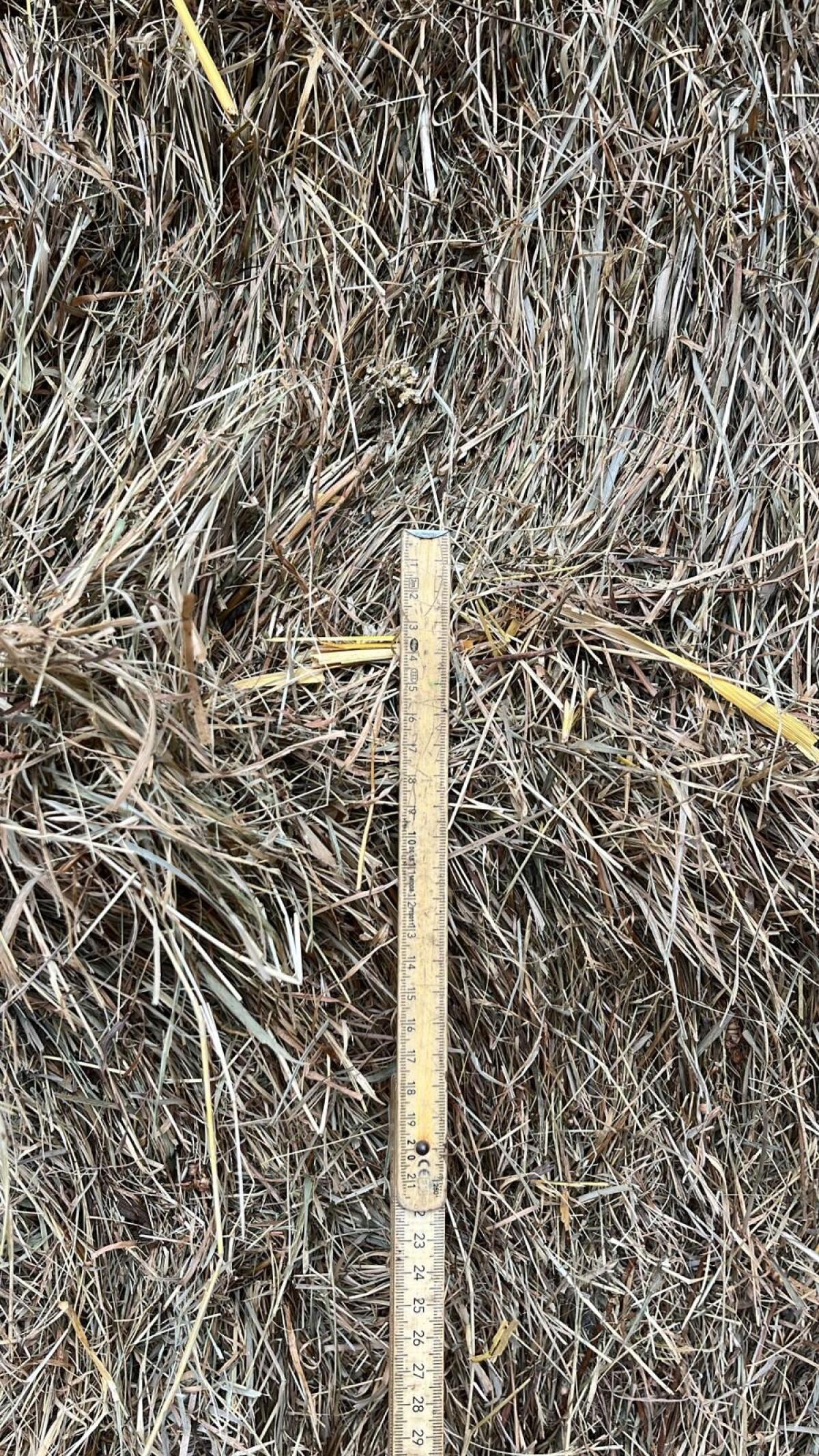 Öhmd (zweiter Schnitt) 3