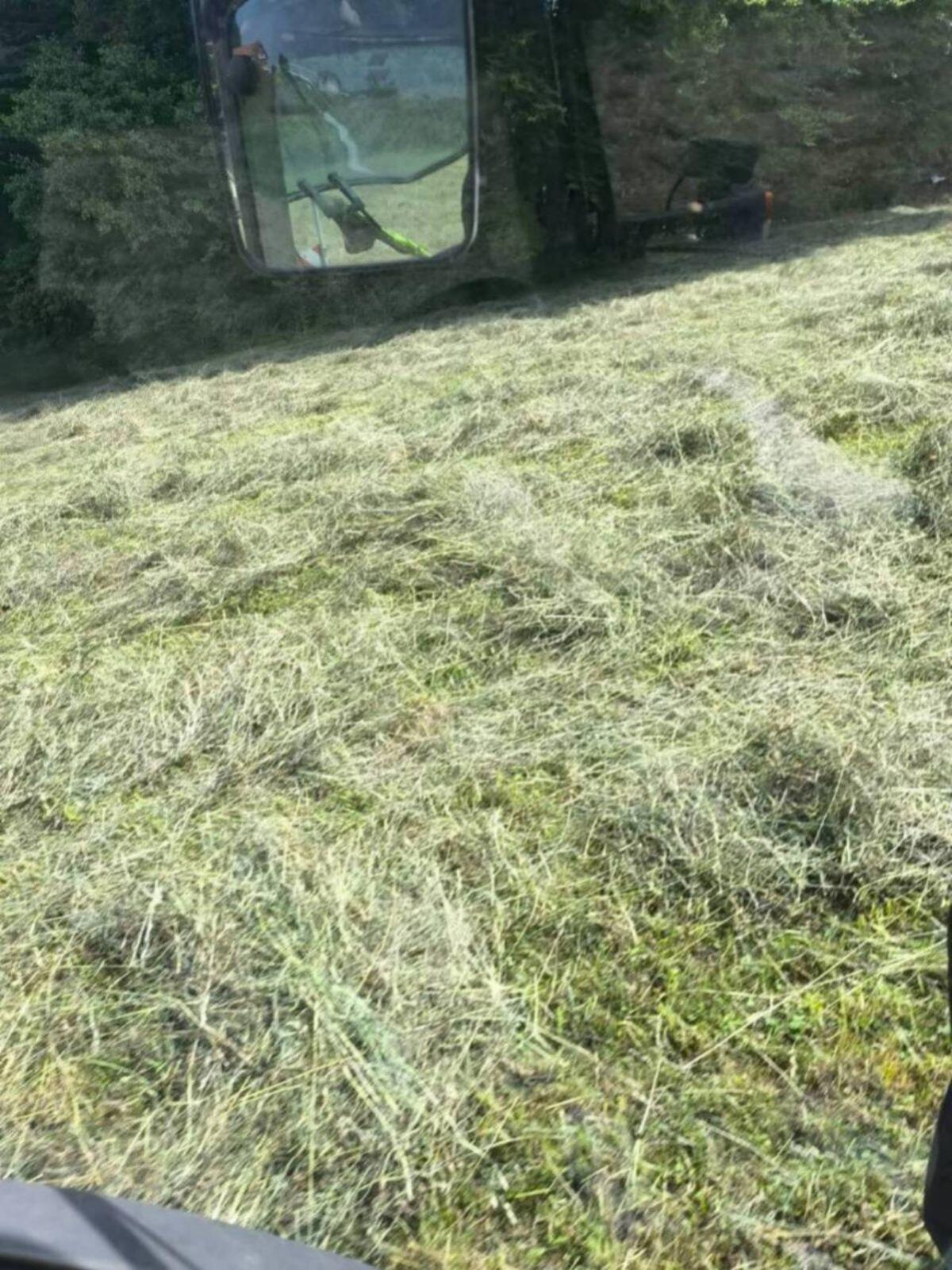 Heuballen vom 1. Schnitt BIO 2