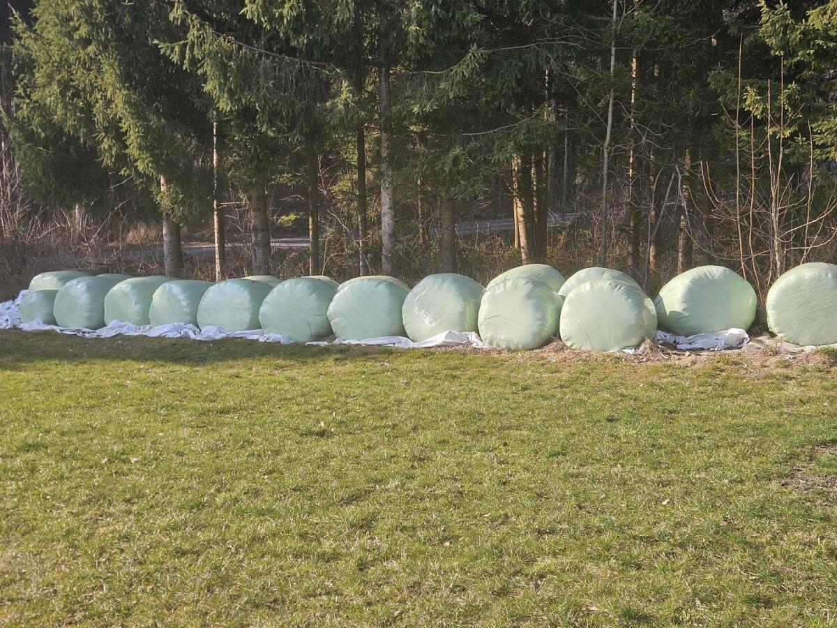Siloballen 3. Schnitt 2
