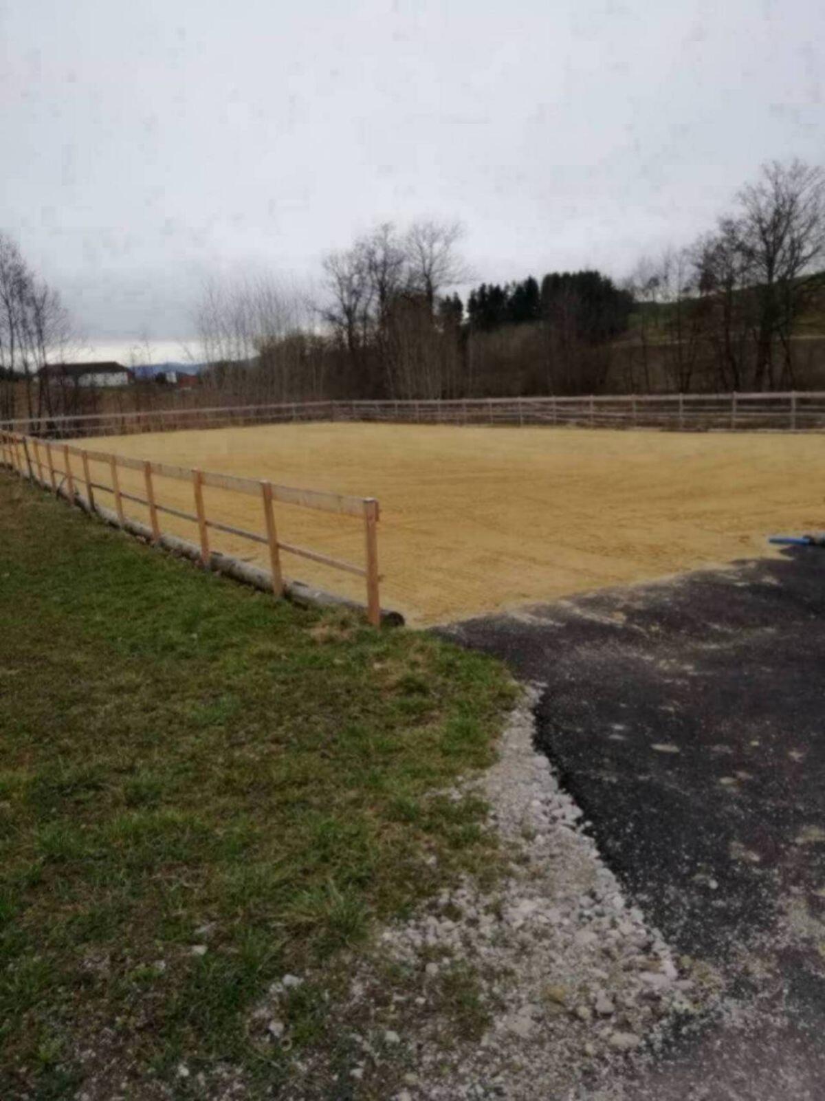 Einstellplatz im Offenstall 2