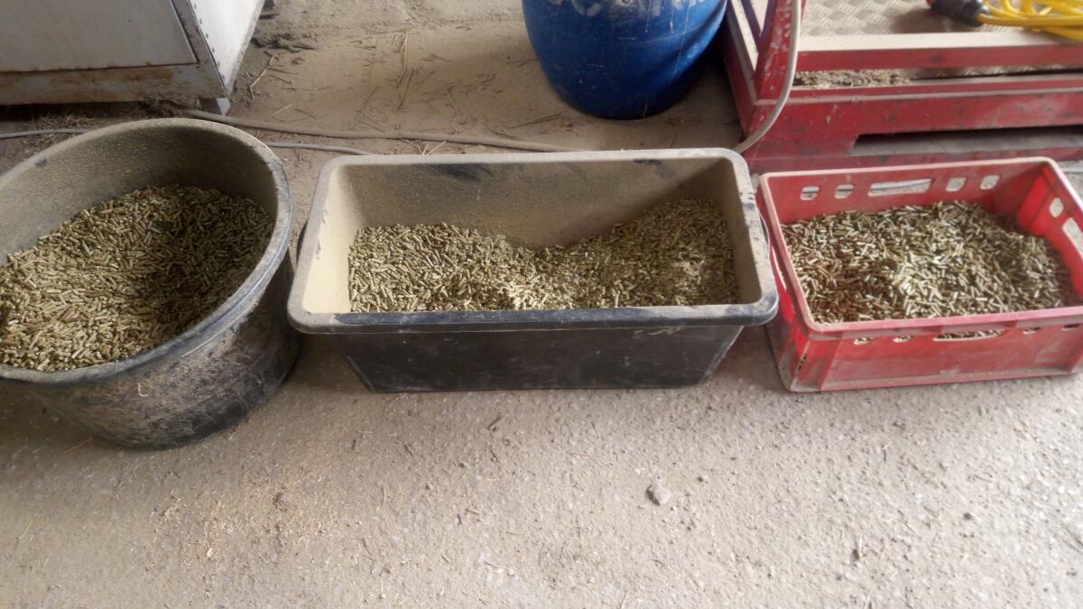 Pelletpresse PP 260 3