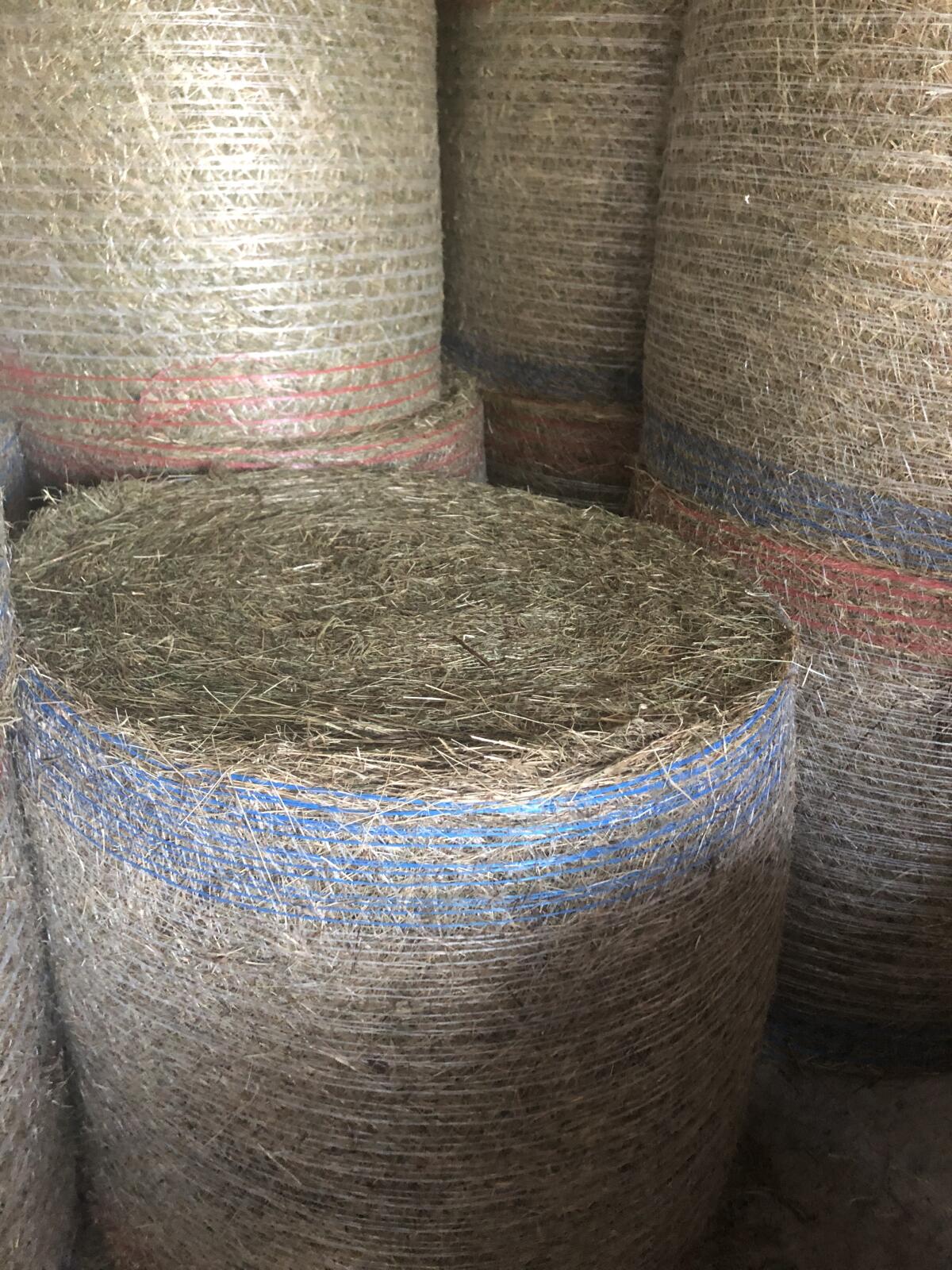 Heuballen Sommer 2025, 130cm, 20 Stk. 3