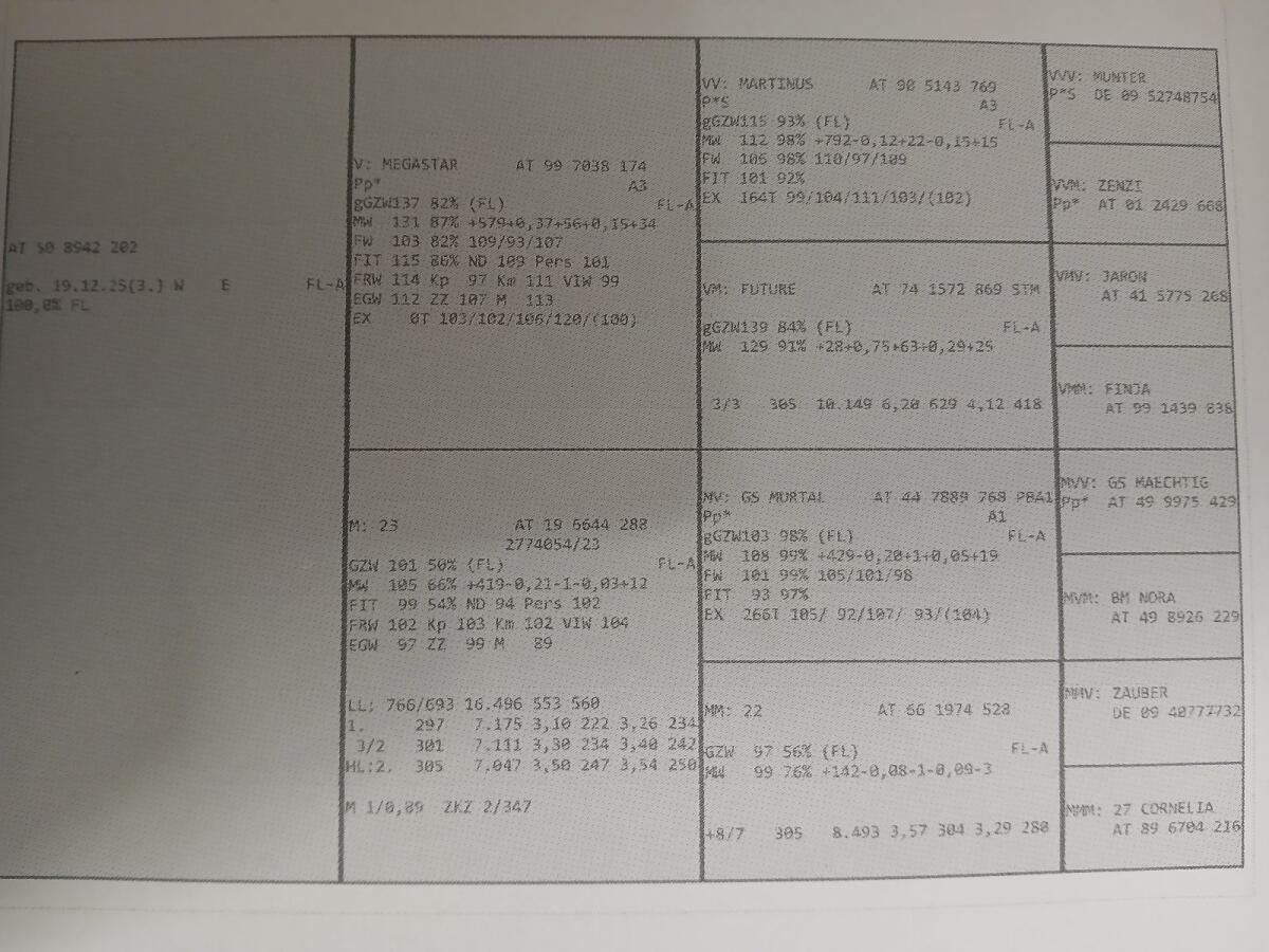 Bio Fl. Kuhkälber 3