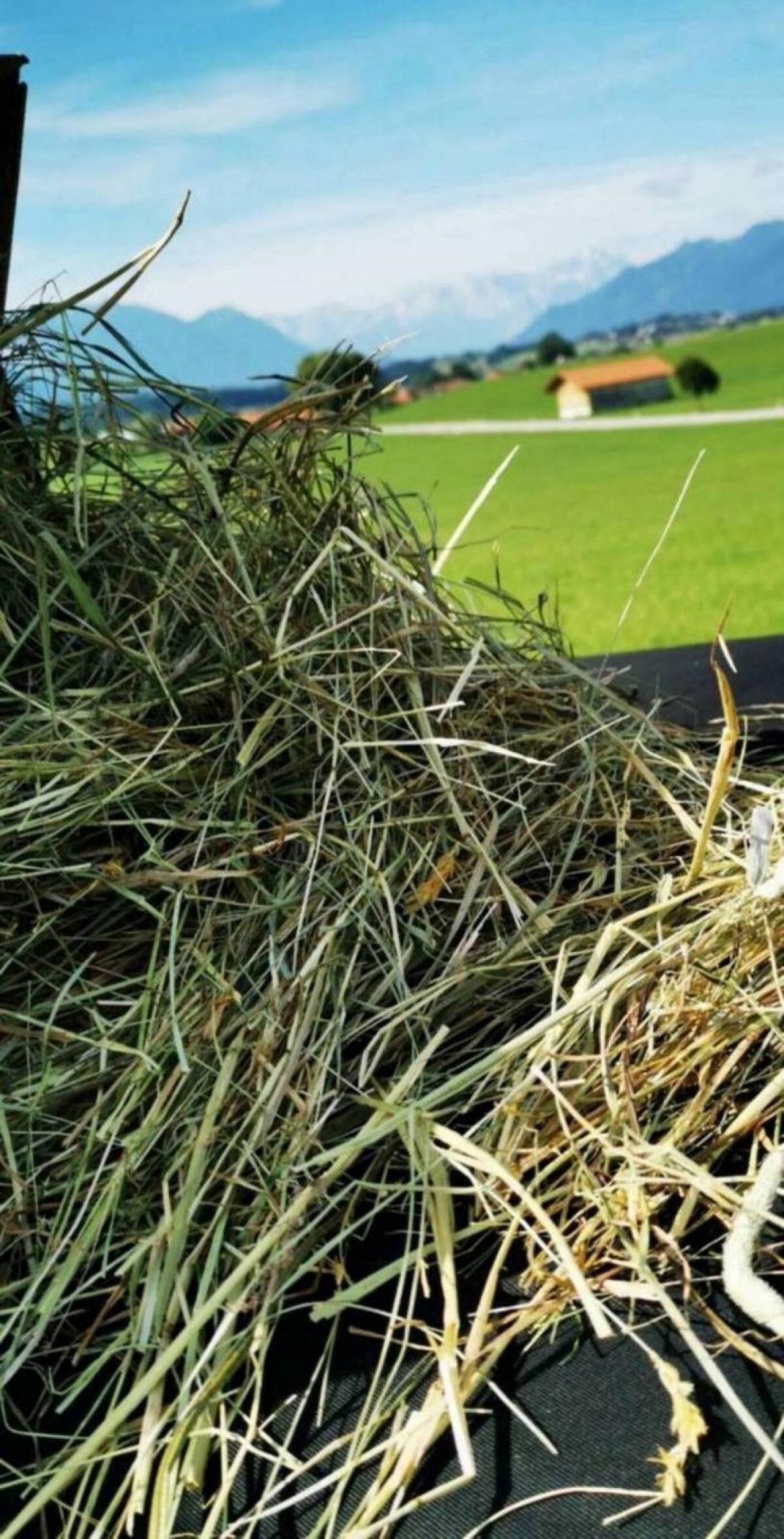 Heu Grummet Rundballen 2