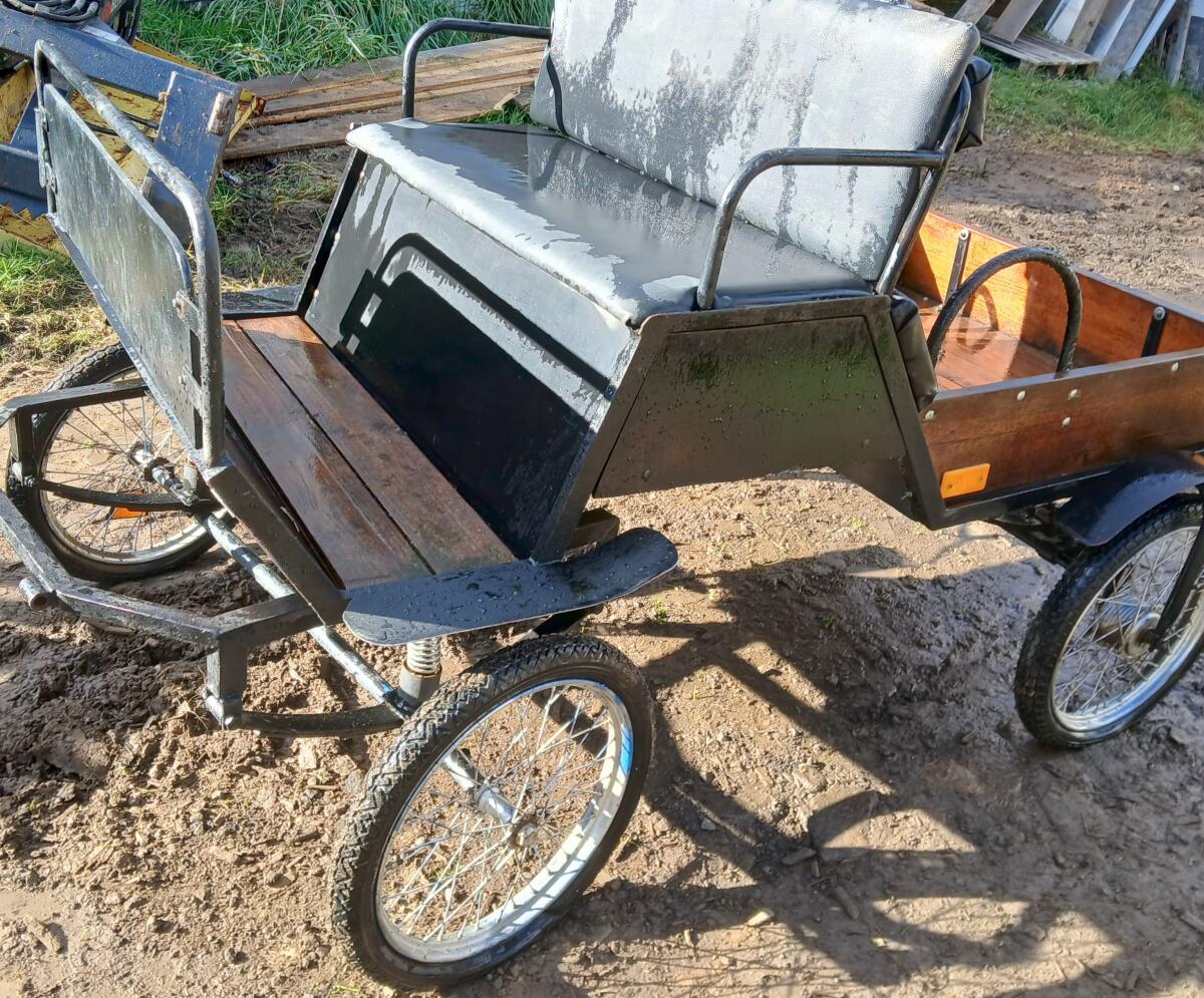 Leichte Ponykutsche 2