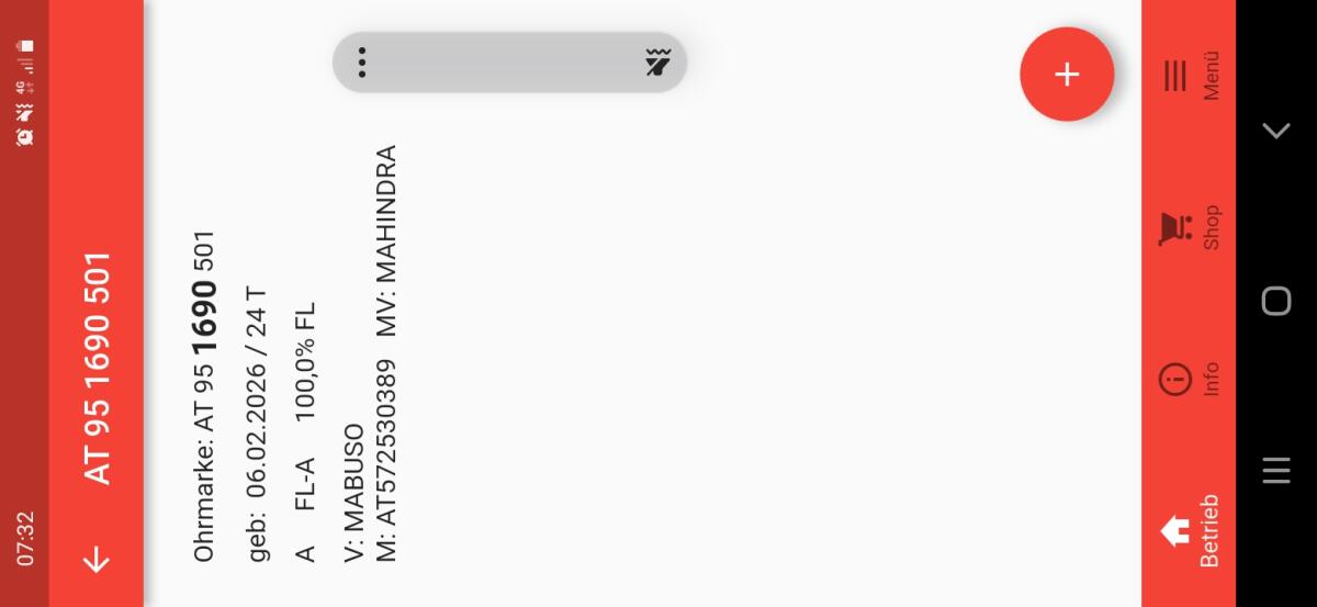 FV Zuchtkalb weiblich 3