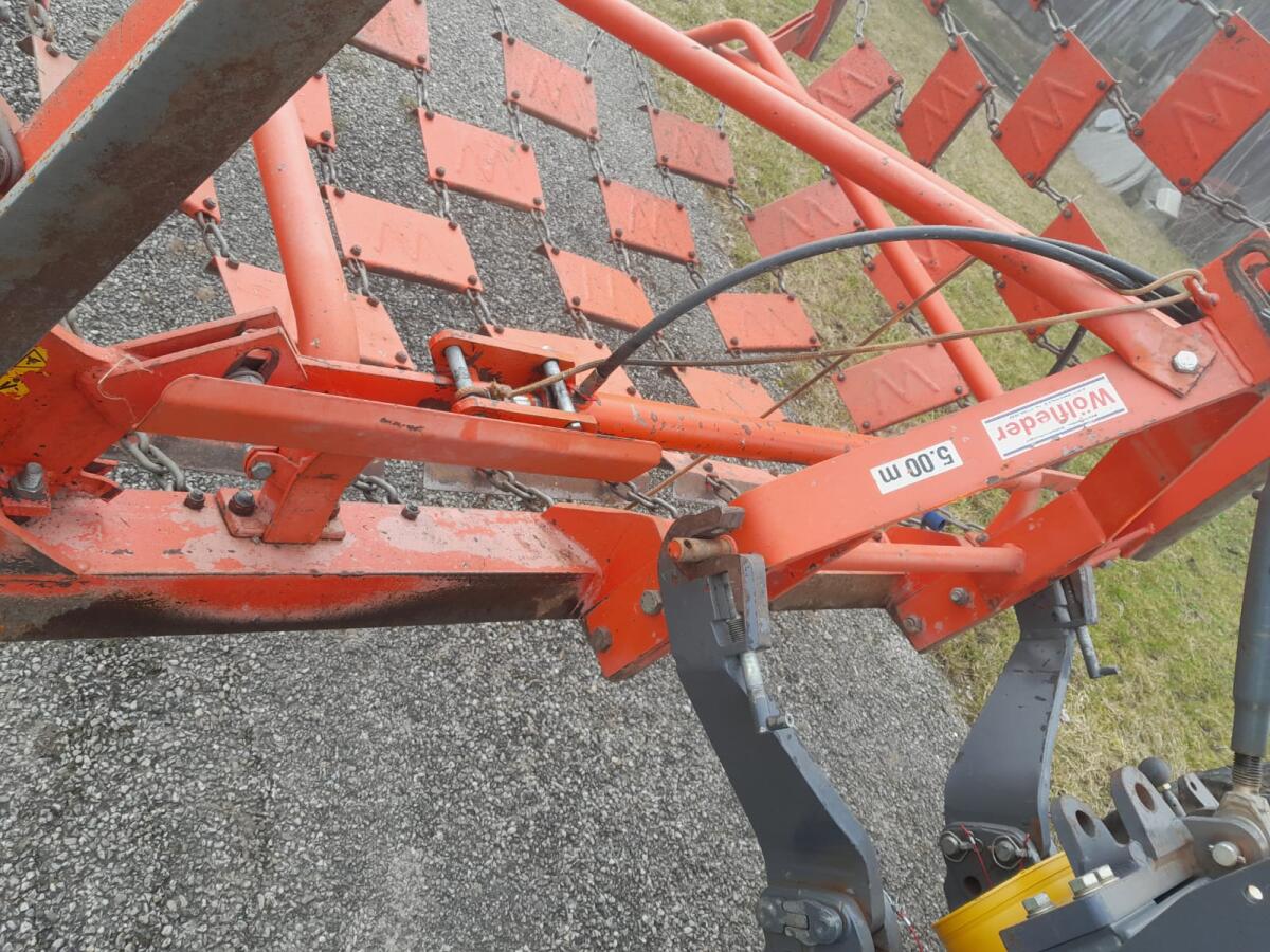 Wiesenegge Wölfleder 3